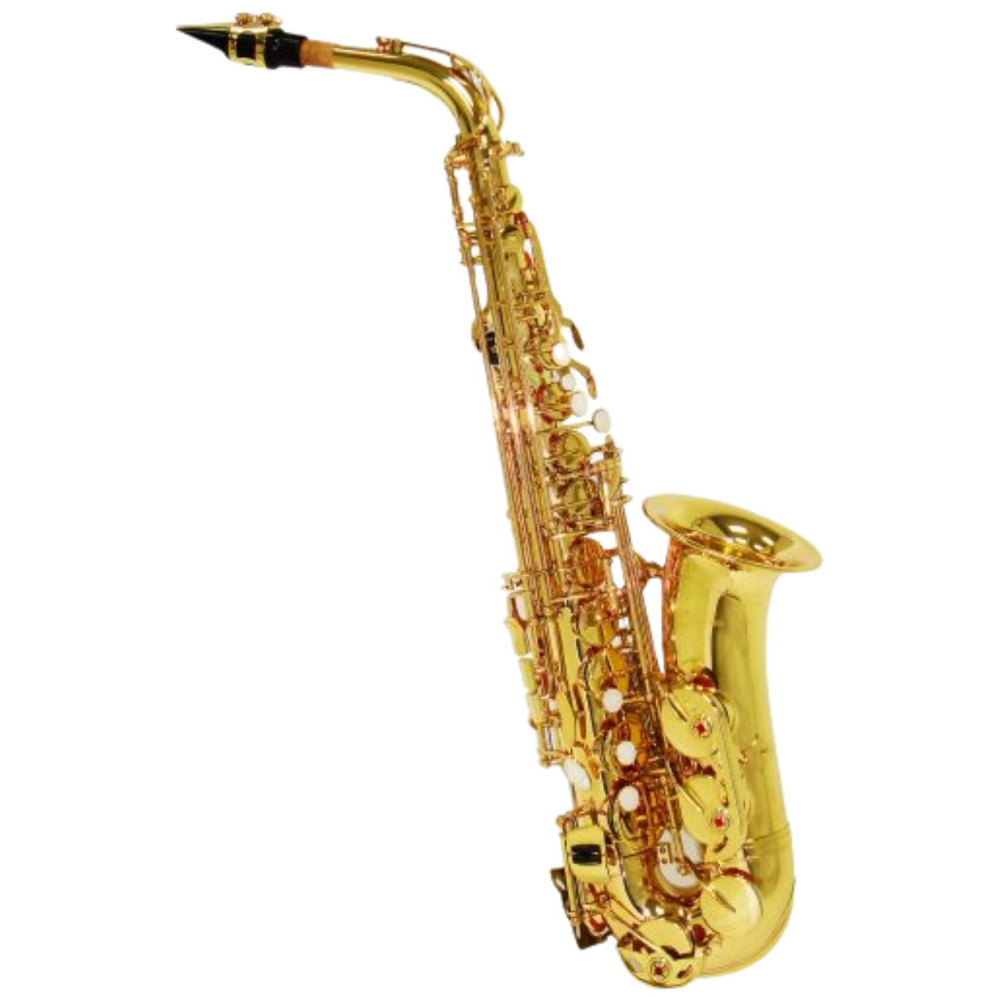 Saxofone Alto Shelter SFT6430L Laqueado Dourado Eb