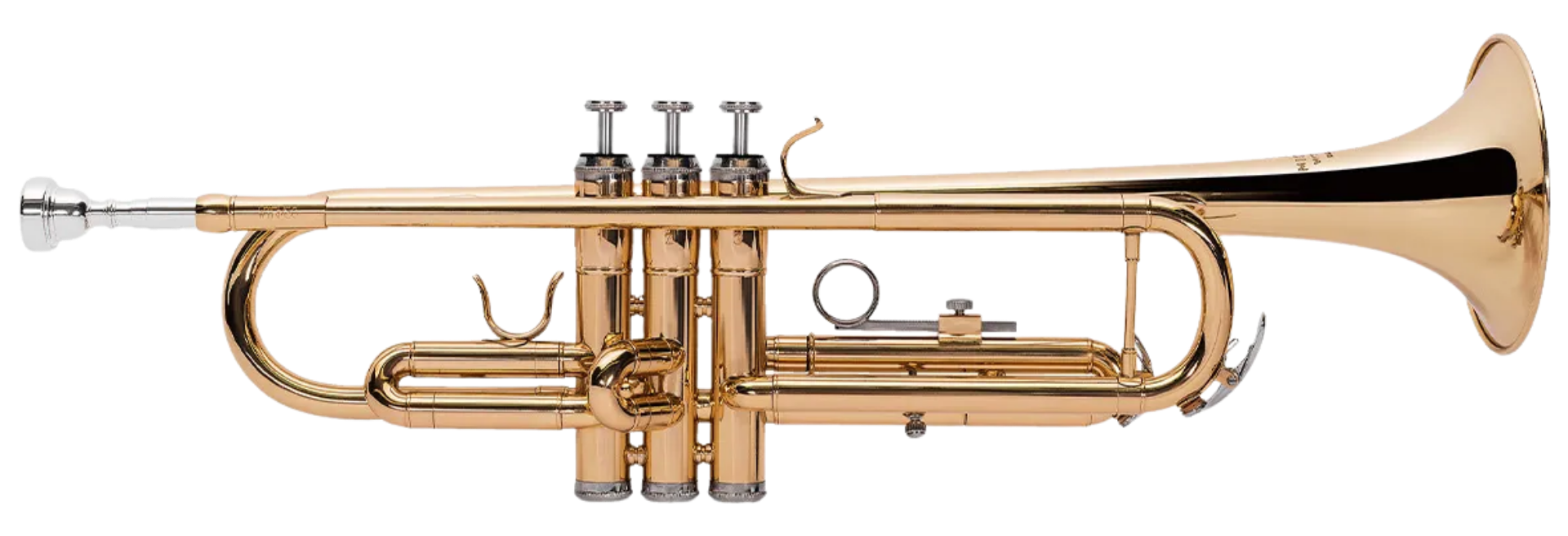 Trompete Michael WTRM30N Bb com Bocal, Estojo e Acabamento Laqueado em Verniz Dourado