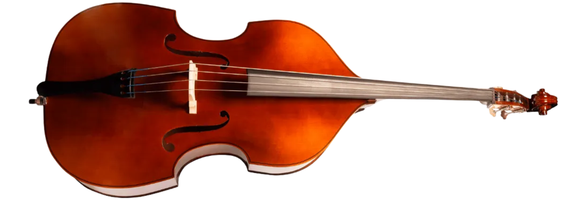 Contrabaixo Acústico Michael VBM140 4/4 Série Ébano com Tampo Spruce Fundo e Faixas Maple Espelho e Estandarte em Ébano Bag Arco e Breu