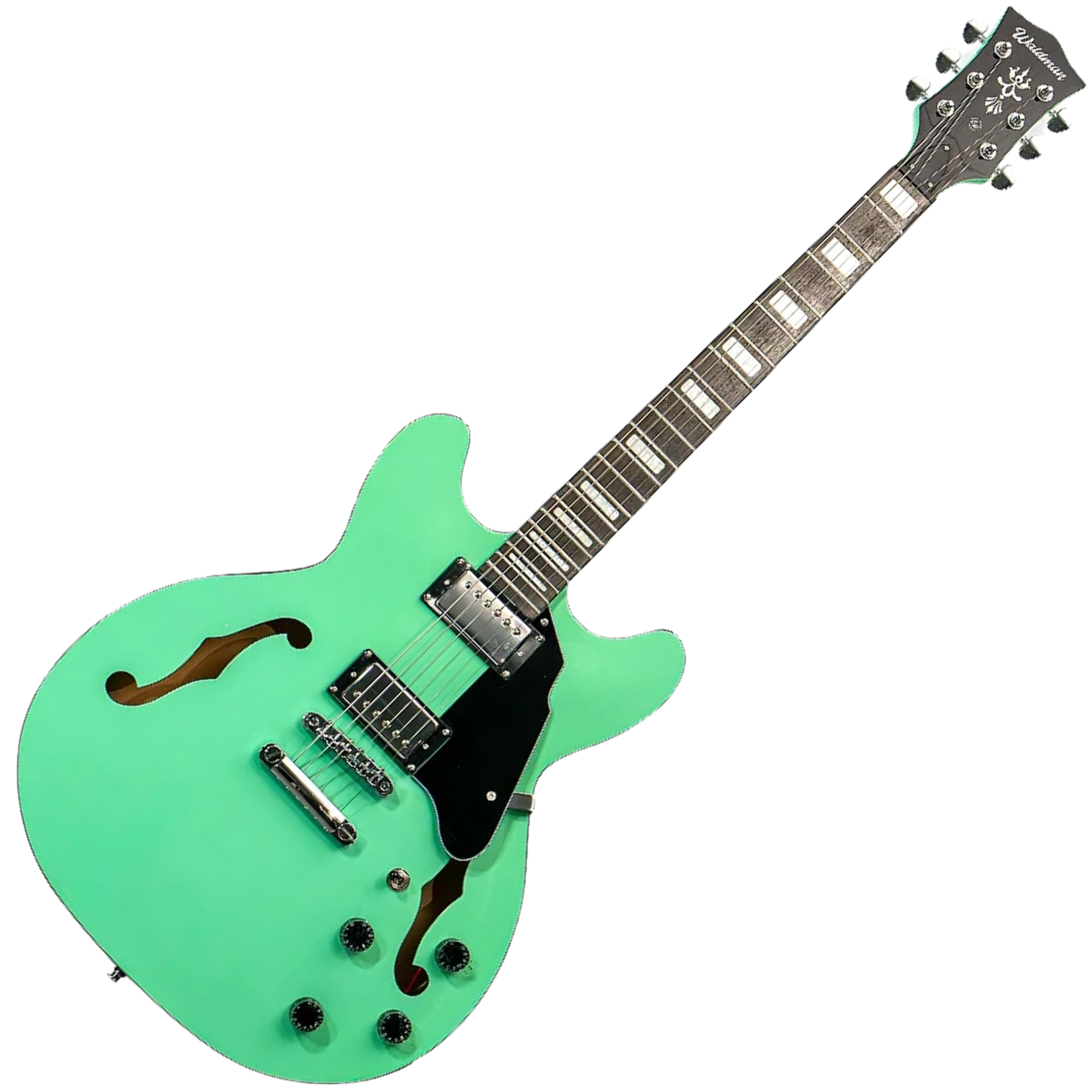 Guitarra Semi Acústica Waldman GHO110 22 Trastes, 2 Humbuckers, Verde