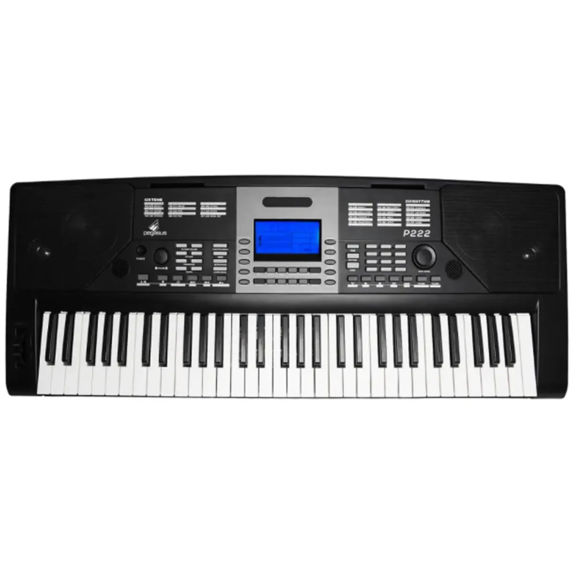 Teclado Arranjador Pegasus P222 61 Teclas com Sensibilidade ao Toque 272 Ritmos Brasileiros USB MIDI e MP3